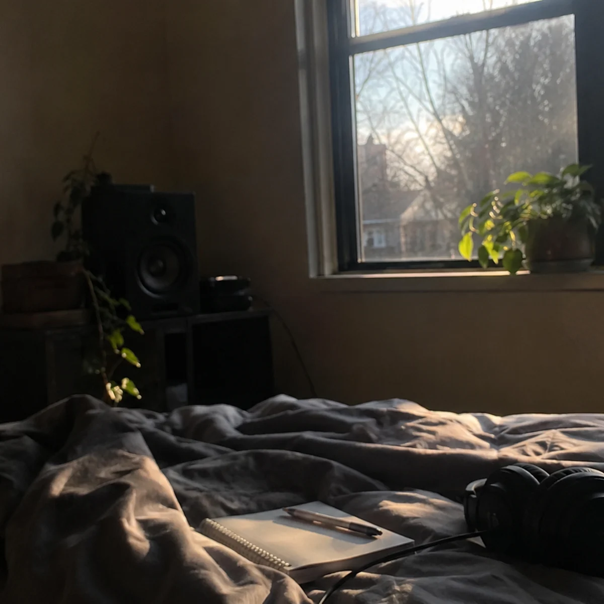 Zen Garden Focus