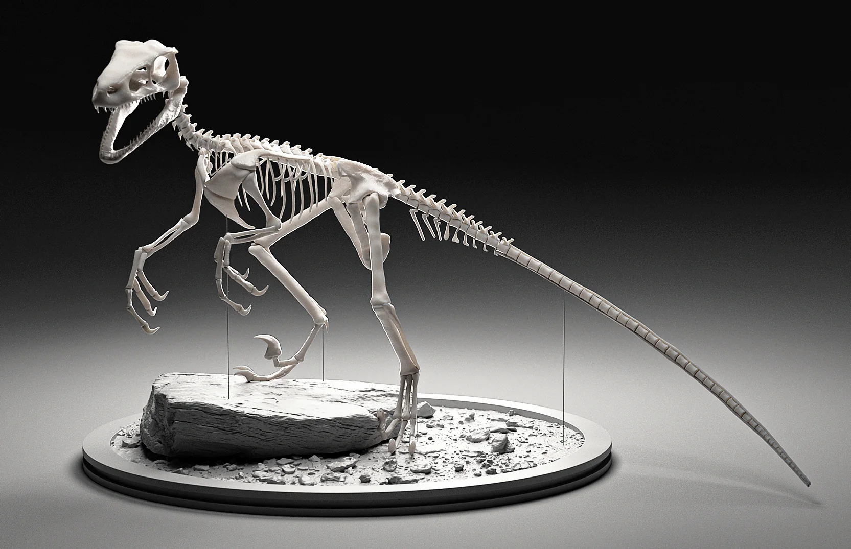 Velociraptor Skelett – Projektansicht 3